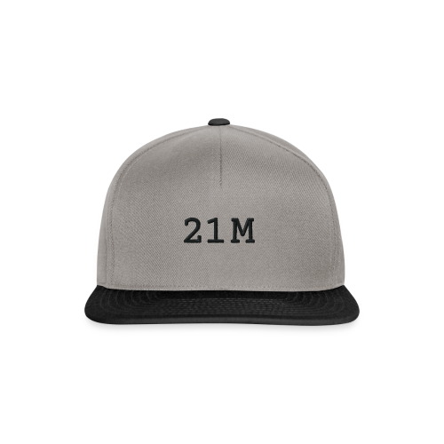 21M (21 Millionen) Kappe Grau